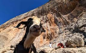 Le bloc : le guide pour bien débuter